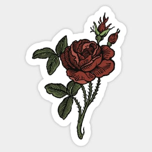 Whimsigoth Rose Tattoo Drawing Sticker